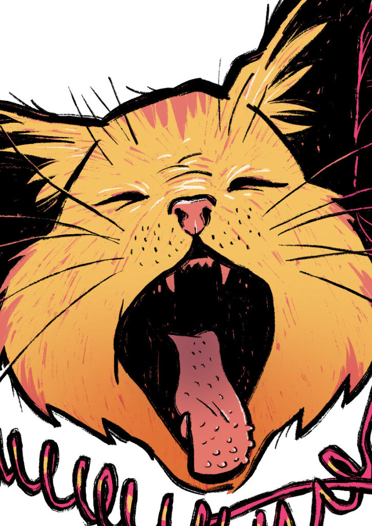 A cat sings super loud while wearing a pair of unplugged headphones. Detail.