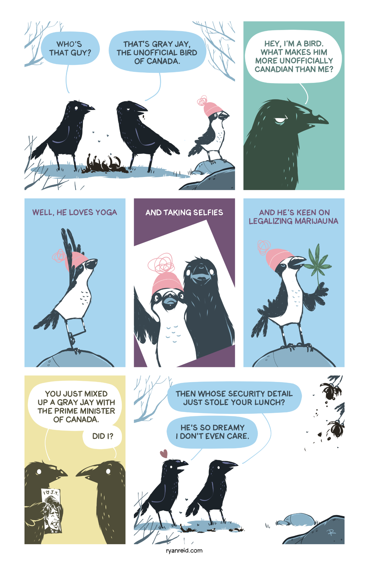 In this comic, the crows mistake the Gray Jay, the unofficial bird of Canada, with another famous Canadian.