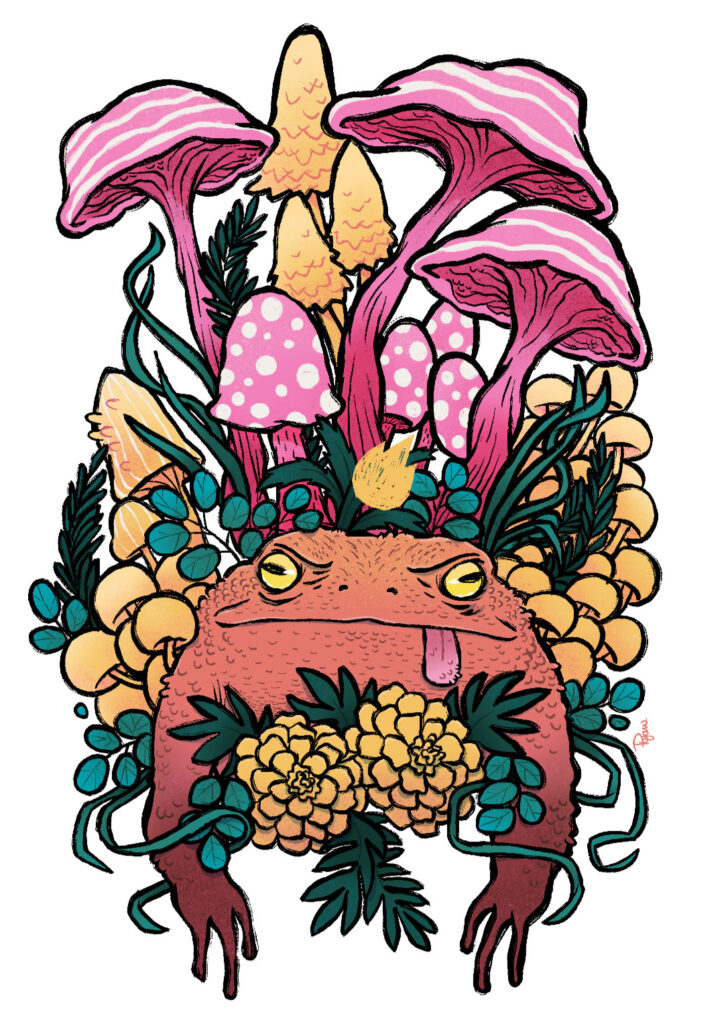 King Toad in the Land of the Mushrooms - A magical toad is nestled among several strange mushrooms and other plants. Full colour version.