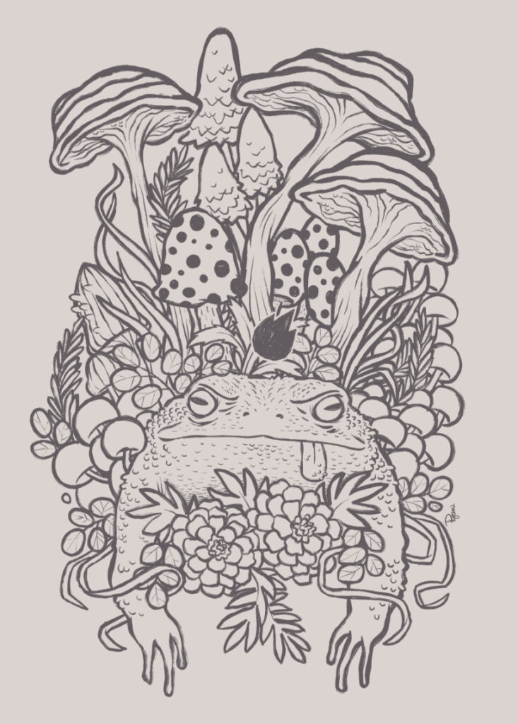 King Toad in the Land of the Mushrooms - A magical toad is nestled among several strange mushrooms and other plants. Grey line art version.