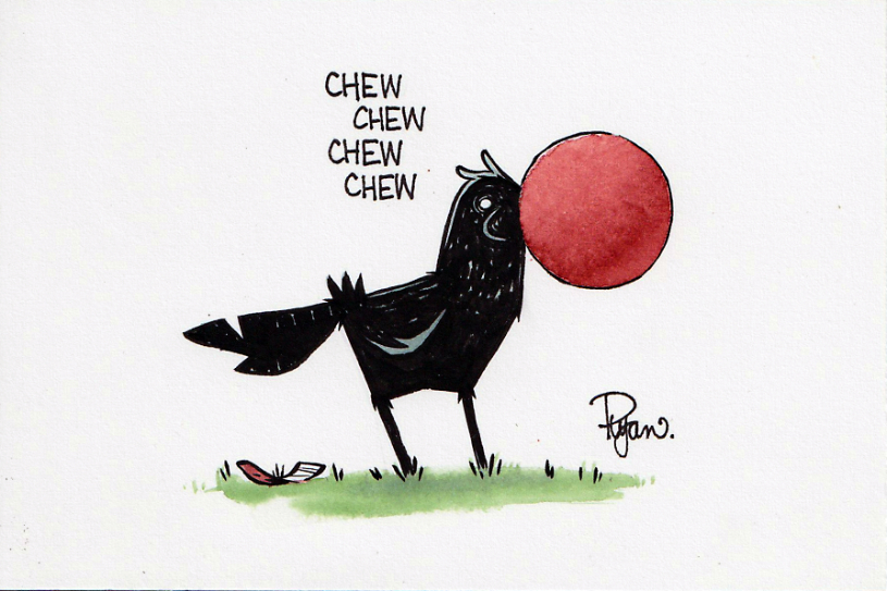 Crow chewing gum and blowing a big bubble.